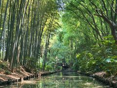 -同里国家湿地公园