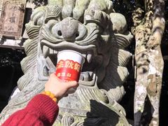-普陀山风景区-佛顶山