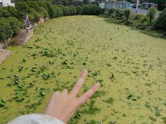 -东山风景区(洞庭东山)