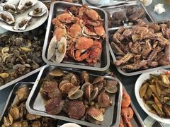 -深圳湾木棉花酒店