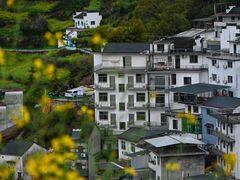 -石潭村