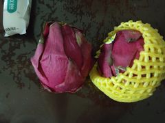 -PAGODA百果园(台柳路凯德广场店)