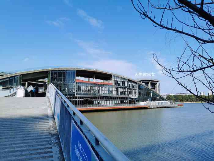 青浦图书馆-"在网上看到青浦区图书馆的照片就一直想去一.