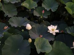 -南京信息职业技术学院
