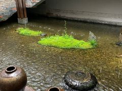 -几荷·恰似故人来(秀水广场店)