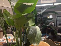 -港丽餐厅(杭大店)