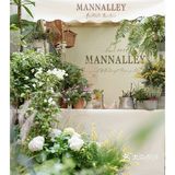 春天开在了花里花俏的地方💐