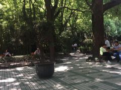 -上海交通大学医学院附属瑞金医院(总院)