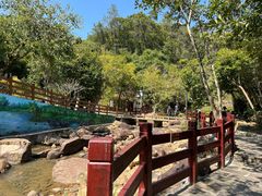 -广州白江湖森林公园