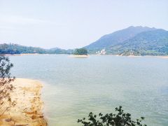 -广州市流溪河国家森林公园