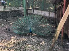 -藏龙百瀑风景区