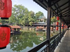 -侨美·唐荔园·40年地道粤菜