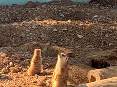 -无锡动物园·太湖欢乐园
