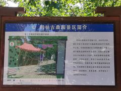 -御林古桑园