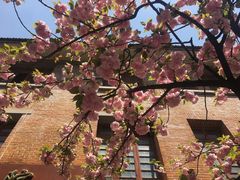 -贵州师范大学(宝山北路校区)