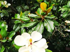 -上海市保健医疗中心