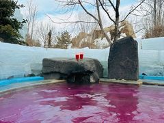 -清河半岛温泉度假酒店