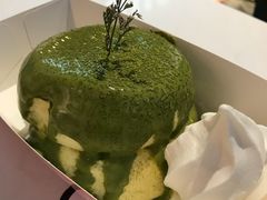 -狐狸和向日葵(北京路店)