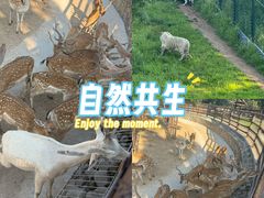 -太原动物园