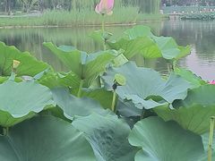 -西海子公园
