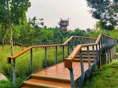-东郊湿地公园