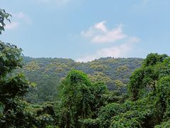 -黄埔油麻山森林公园