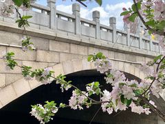 -元大都城垣遗址公园