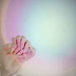 点击看大图 -1R日式轻奢美睫美甲翘睫