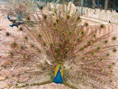 -南京金牛湖风景区