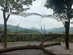 -广州市帽峰山景区