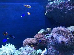 -成都浩海立方海洋公园