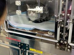 -美联众合动物医院·24h转诊中心