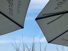 -代数学家algebraist(仙林金鹰店)
