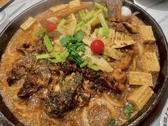 -老板恋上鱼(振华商厦店)