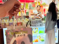 -西双版纳傣族园