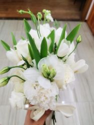 -金夫人婚纱摄影(总店)