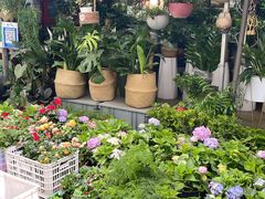 -循礼门鲜花花市(武汉循礼门店)