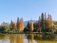 -森波拉火山温泉