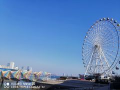 -琴岛之星摩天轮