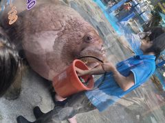 -海合安成都极地海洋公园