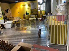 -浣熊柯尔鸭土拨鼠·电玩咖