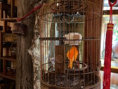 -普洱茶府(博乐广场店)