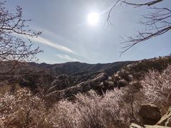 -北京鹫峰国家森林公园