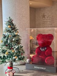 -VELEE·SPA高定疗愈会所