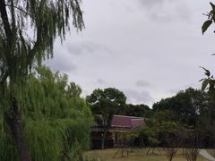-顾村公园