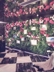 -友豪锦江酒店·宴会厅