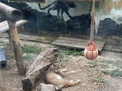-青藏高原野生动物园
