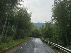 -安吉龙王山风景区