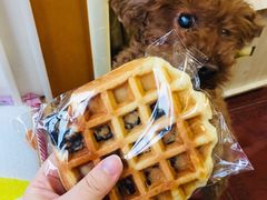 紫米格子-玥儿弯弯手作烘焙(中海国际社区御城店)