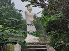 -北京西山国家森林公园